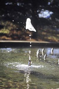 Быстродействующий электромагнитный клапан Vario - Switch 010а/24V